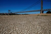 Kekeringan bersejarah Sungai Loire di Prancis pada tahun 2022 menunjukkan dampak perubahan iklim di benua Eropa (Reuters)