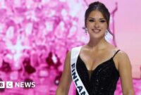 Foto 'mata sipit' Miss Finland yang viral memicu badai rasisme


