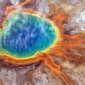 Gempa Kecil Memicu Kebangkitan Mikroba di Bawah Yellowstone

