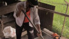 Halua Bluek, Dodol Khas Tanah Pidie - Tribun Rakyat

