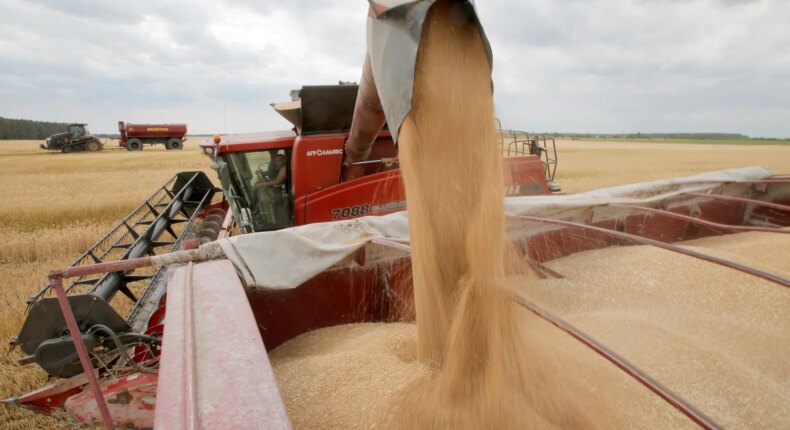 foto slider headline