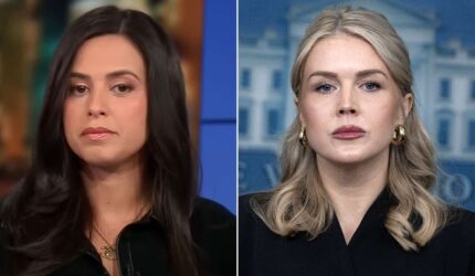 Ibu dari Keponakan Karoline Leavitt Memecah Kebungkaman atas Penangkapan ICE