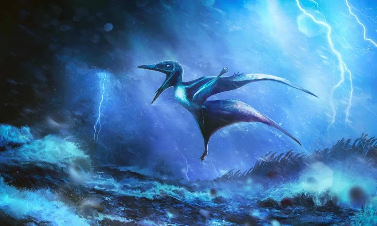 Ilmuwan Memecahkan Misteri Bayi Pterosaurus Solnhofen Berusia 150 Juta Tahun

