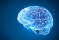 Ilmuwan Menemukan Kekuatan Pembakaran Lemak yang Tersembunyi di Otak

