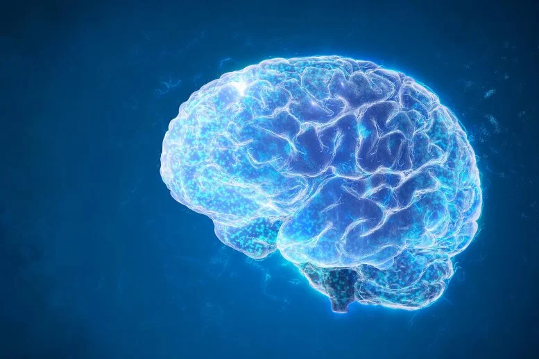 Ilmuwan Menemukan Kekuatan Pembakaran Lemak yang Tersembunyi di Otak

