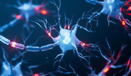 Akson Dendrit Neuron Biologi Sel Saraf