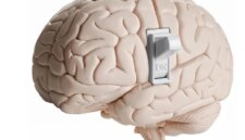 Ilmuwan Menemukan Perubahan Otak Tersembunyi yang Memungkinkan Kebiasaan Terbentuk dengan Cepat