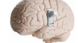 Ilmuwan Menemukan Perubahan Otak Tersembunyi yang Memungkinkan Kebiasaan Terbentuk dengan Cepat

