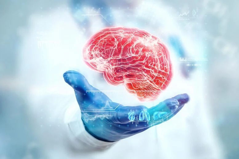 Ilmuwan Menemukan Tanda Peringatan Dini Alzheimer yang Tersembunyi dalam Pemindaian Otak Rutin

