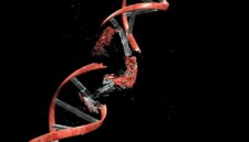 Ilmuwan Menemukan Titik Lemah yang Mengejutkan pada Penyakit Genetik Langka