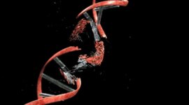 Ilmuwan Menemukan Titik Lemah yang Mengejutkan pada Penyakit Genetik Langka

