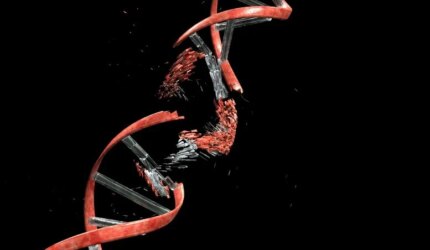 Perbaikan Genetik Kerusakan DNA