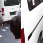 Jeritan histeris seorang siswa SDN 01 Kalibaru saat temannya ditabrak mobil MBG

