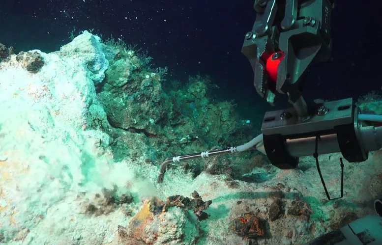 “Kami Terkejut”: Para Ilmuwan Menemukan Ladang Hidrotermal Besar-besaran di Mediterania

