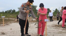 Kapolda Babel Pimpin Penanaman Pohon Serentak, Komitmen Jaga Lingkungan

