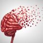 Lapisan Otak Tersembunyi Mungkin Menjelaskan Mengapa Memori Gagal

