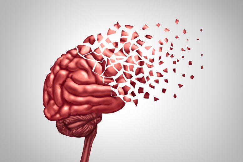 Lapisan Otak Tersembunyi Mungkin Menjelaskan Mengapa Memori Gagal

