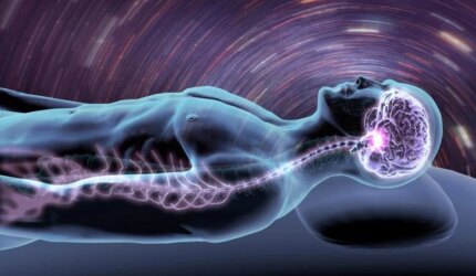 Sistem Saraf Tulang Belakang Otak Mimpi Tidur