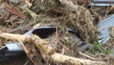 Meski Ada Pendukungnya, Pemerintah Harus Berani Tangkap Pelaku Hutan Liar di Sumatera!