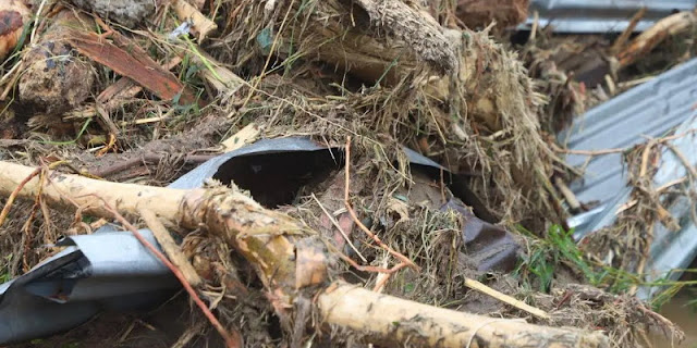 Meski Ada Pendukungnya, Pemerintah Harus Berani Tangkap Pelaku Hutan Liar di Sumatera!

