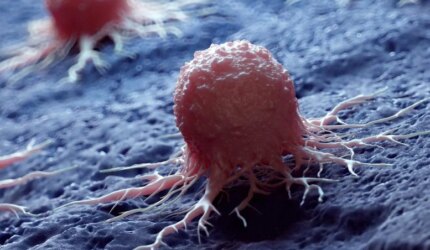 Rendering 3D Sel Kanker