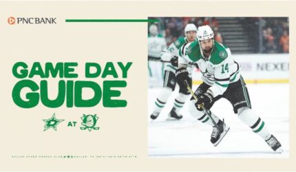 Panduan Hari Permainan: Bintang di Bebek