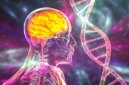 Para Ilmuwan Menemukan Petunjuk Alzheimer yang Tersembunyi dalam DNA yang Pernah Dianggap “Sampah”

