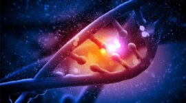 Para Ilmuwan Telah Menemukan Organisme yang Melanggar Aturan Emas Biologi

