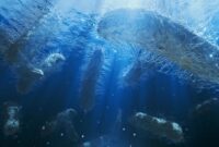 Pemecah Karbon Laut Dalam Membalikkan Asumsi Iklim yang Sudah Lama Dianut

