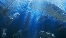 Pemecah Karbon Laut Dalam Membalikkan Asumsi Iklim yang Sudah Lama Dianut

