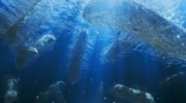 Pemecah Karbon Laut Dalam Membalikkan Asumsi Iklim yang Sudah Lama Dianut

