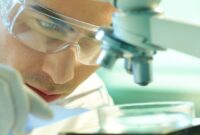 <!-- HTML_TAG_START -->Arus Kas Diskon TLRY pada Des 2025<!-- HTML_TAG_END -->  