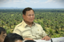 Pemerintahan Prabowo Tobat Akan Mengembalikan Lahan Kelapa Sawit Menjadi Hutan

