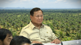 Pemerintahan Prabowo Tobat Akan Mengembalikan Lahan Kelapa Sawit Menjadi Hutan

