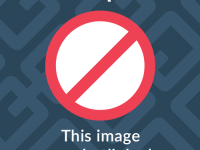 Pengemudi Kazakh menabrak pohon Natal yang terekam dalam video CCTV

