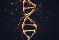 Perawatan Eksperimental Mengaktifkan Jalur Perbaikan DNA Tersembunyi

