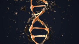 Perawatan Eksperimental Mengaktifkan Jalur Perbaikan DNA Tersembunyi

