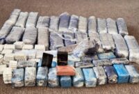 Peringatan akan rencana pendudukan untuk membanjiri Gaza dengan obat-obatan untuk menyerang wilayah dalam negeri

