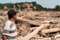 Permukiman di Aceh Tamiang Hilang Tertimbun Kayu