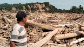 Permukiman di Aceh Tamiang Hilang Tertimbun Kayu

