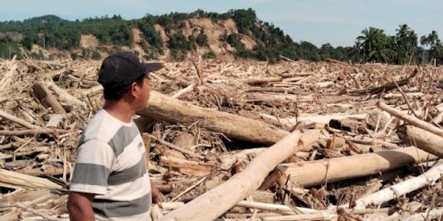 Permukiman di Aceh Tamiang Hilang Tertimbun Kayu


