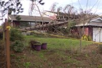 Pohon tumbang menimpa rumah di Everett; Angin kencang menimbulkan kekhawatiran bagi Washington bagian barat pada hari Senin