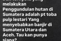 Postingan Anak Purbaya Viralkan Jejak TPL dan Isu Banjir di Sumatera