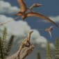 Pterosaurus Purba Terbang Dengan Otak Yang Sangat Kecil, Studi Menemukan

