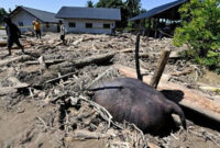 Raja Juli, Sapi Oligarki, dan Gajah Mati