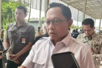 Saya tidak bermaksud meremehkan bantuan dari Malaysia

