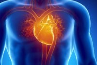 Studi 11 Tahun Mengungkapkan Mengonsumsi Senyawa Tanaman Ini Terkait dengan Kesehatan Jantung yang Lebih Baik

