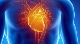 Studi 11 Tahun Mengungkapkan Mengonsumsi Senyawa Tanaman Ini Terkait dengan Kesehatan Jantung yang Lebih Baik

