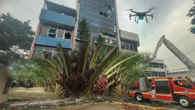 Terra Drone Fire Disebut Intimidasi untuk Menghancurkan Dokumen Pemetaan Lahan Kelapa Sawit di Sumatera


