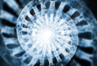 Tetesan Mikroskopis Mengungkap Arsitektur Rahasia DNA

